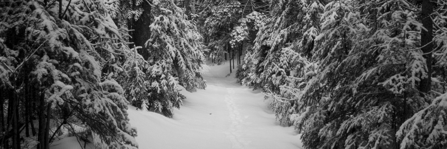 Village of Speculator