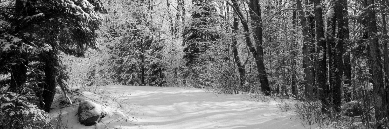 Village of Speculator