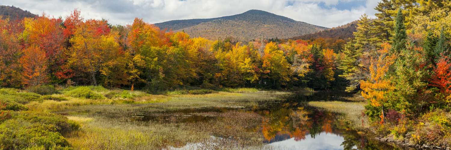 Village of Speculator